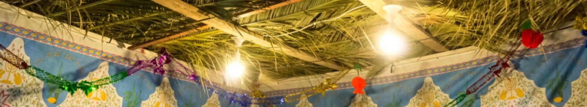 מרוצים מאוד