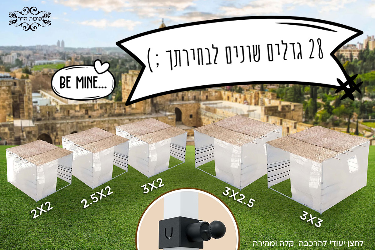 סוכה לנצח
