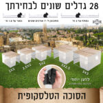 חבילה סוכה 2X2 הכל כלול