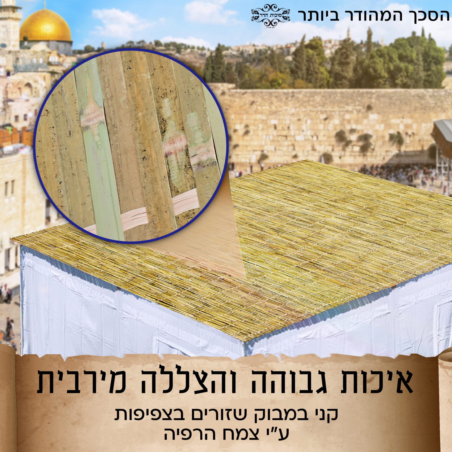 סכך מהדרין לסוכה רפיה