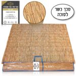 סכך כשר לסוכה קני סוף