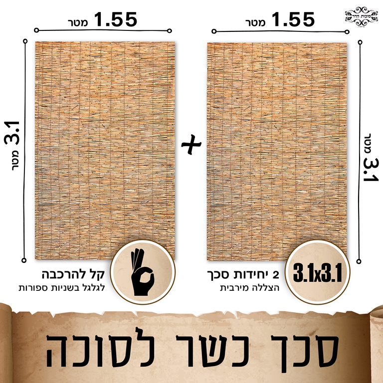 סכך כשר לסוכה קני סוף
