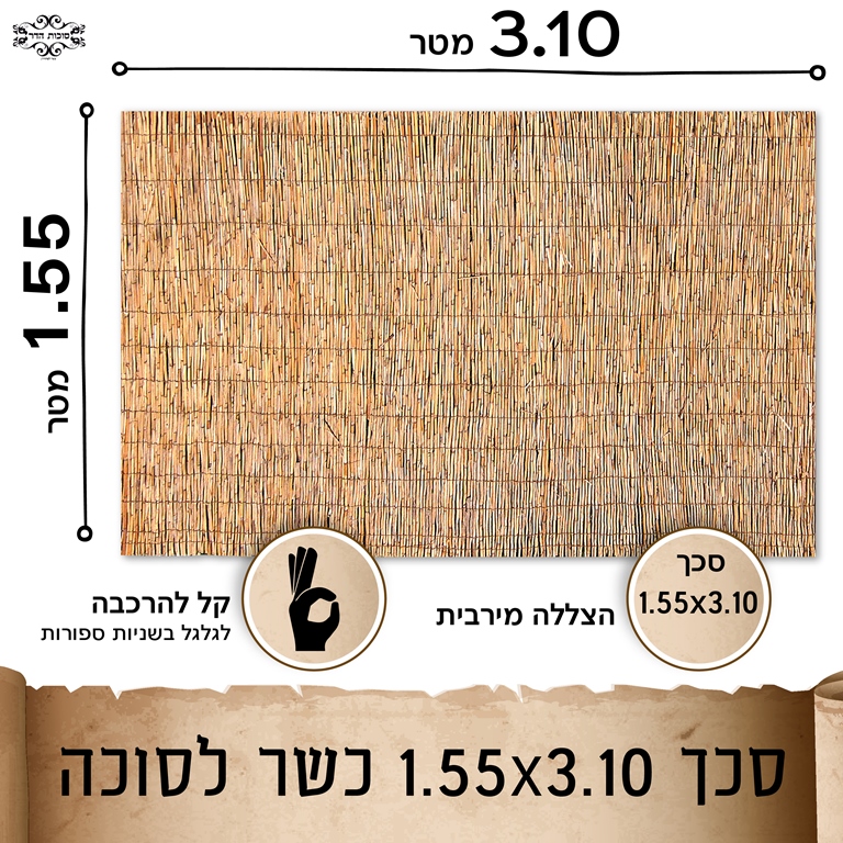 סכך כשר לסוכה קני סוף
