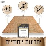 סכך כשר לסוכה קני סוף