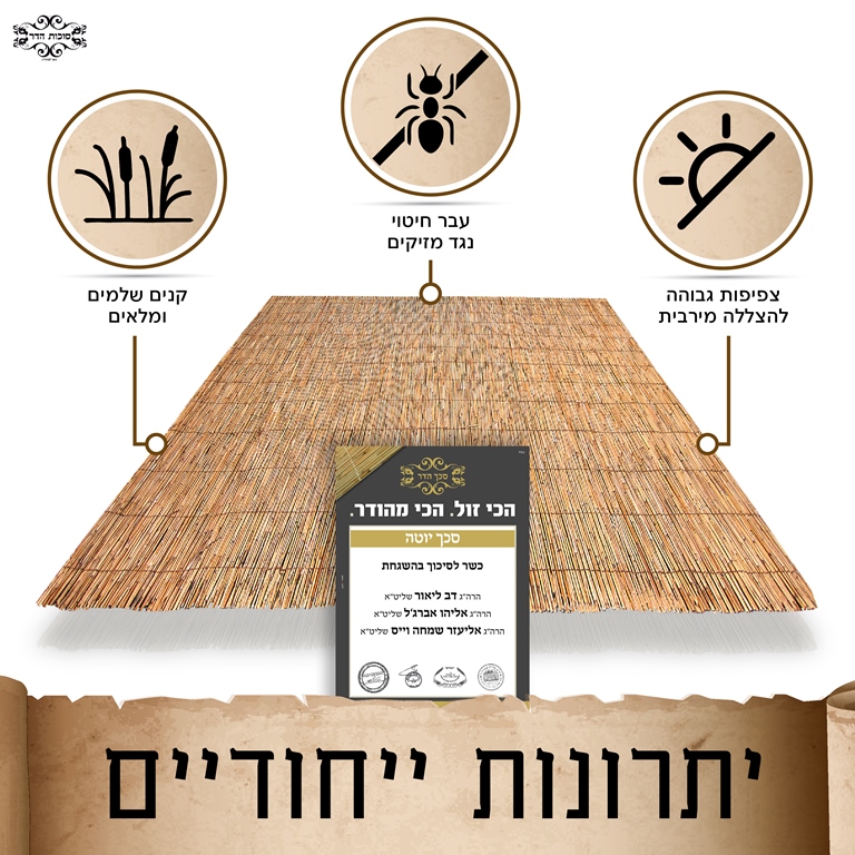 סכך כשר לסוכה קני סוף