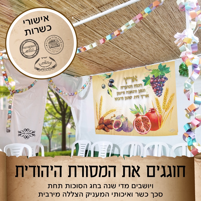 סכך כשר לסוכה קני סוף