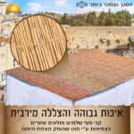 סכך כשר לסוכה קני סוף