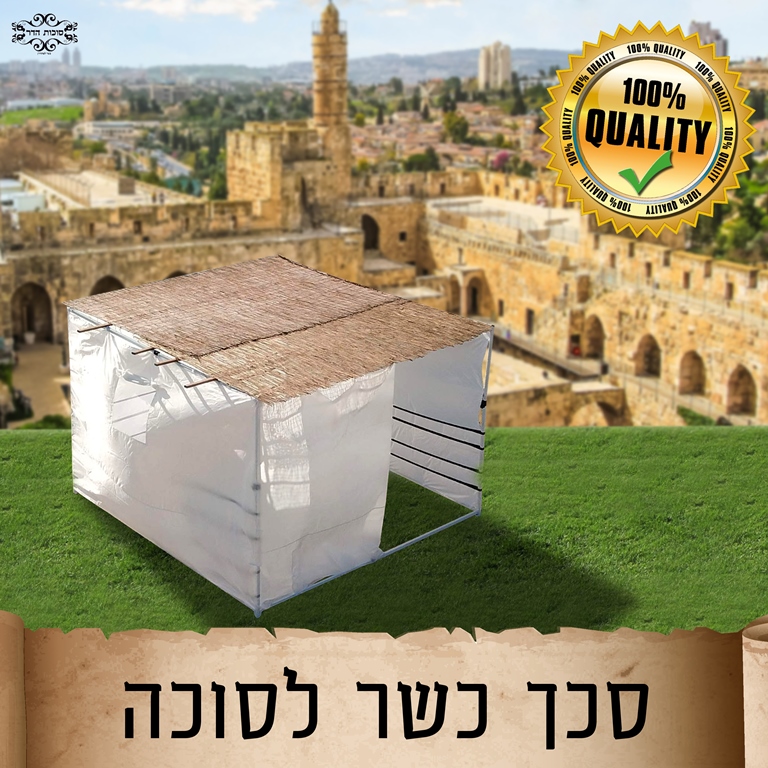 סכך כשר לסוכה קני סוף