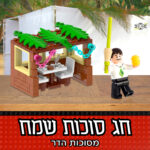 סוכה לילדים להרכבה