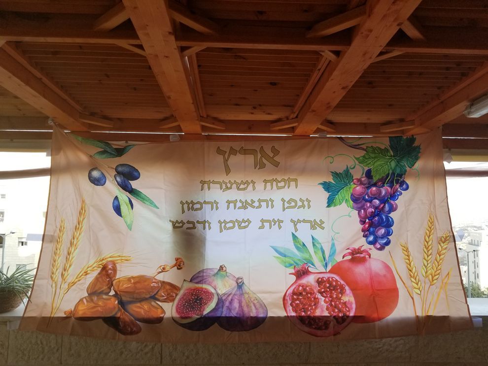 בד תמונה מתנה