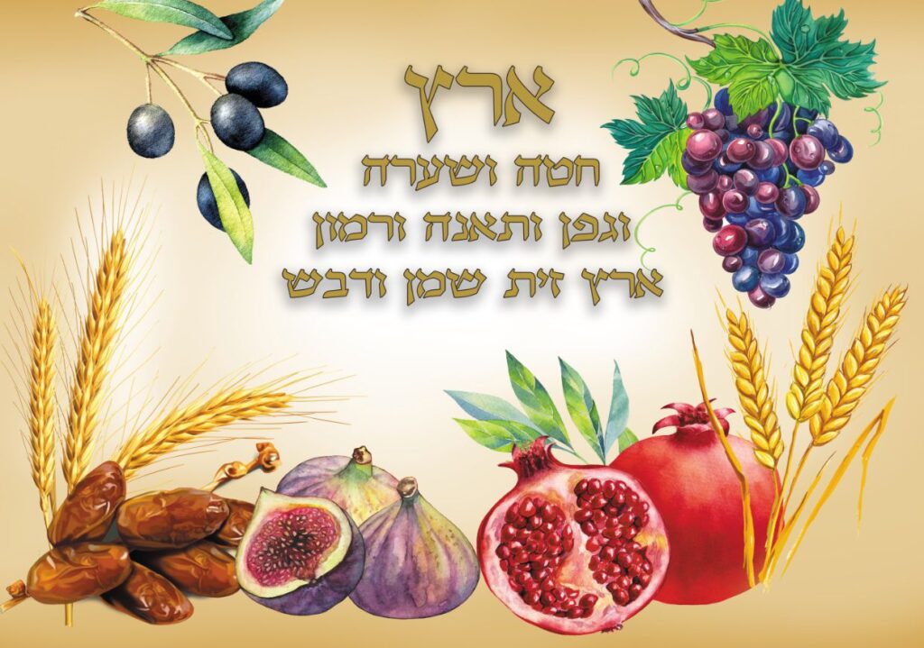 בד תמונה לסוכה