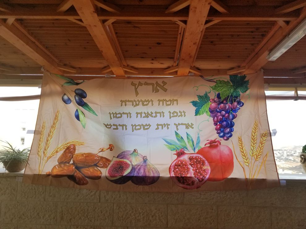 בד תמונה מתנה