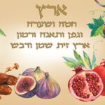 בד תמונה מתנה