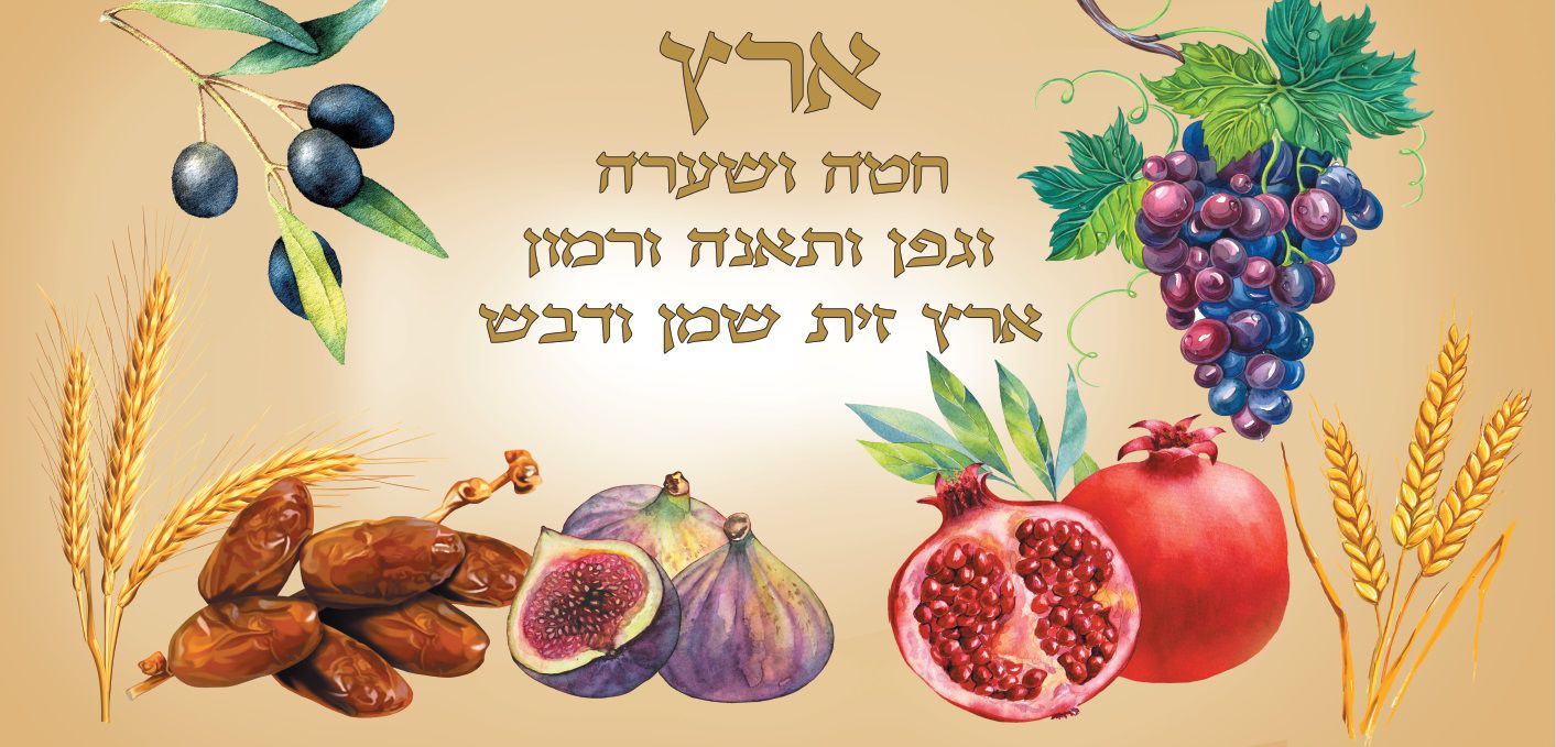 בד תמונה מתנה