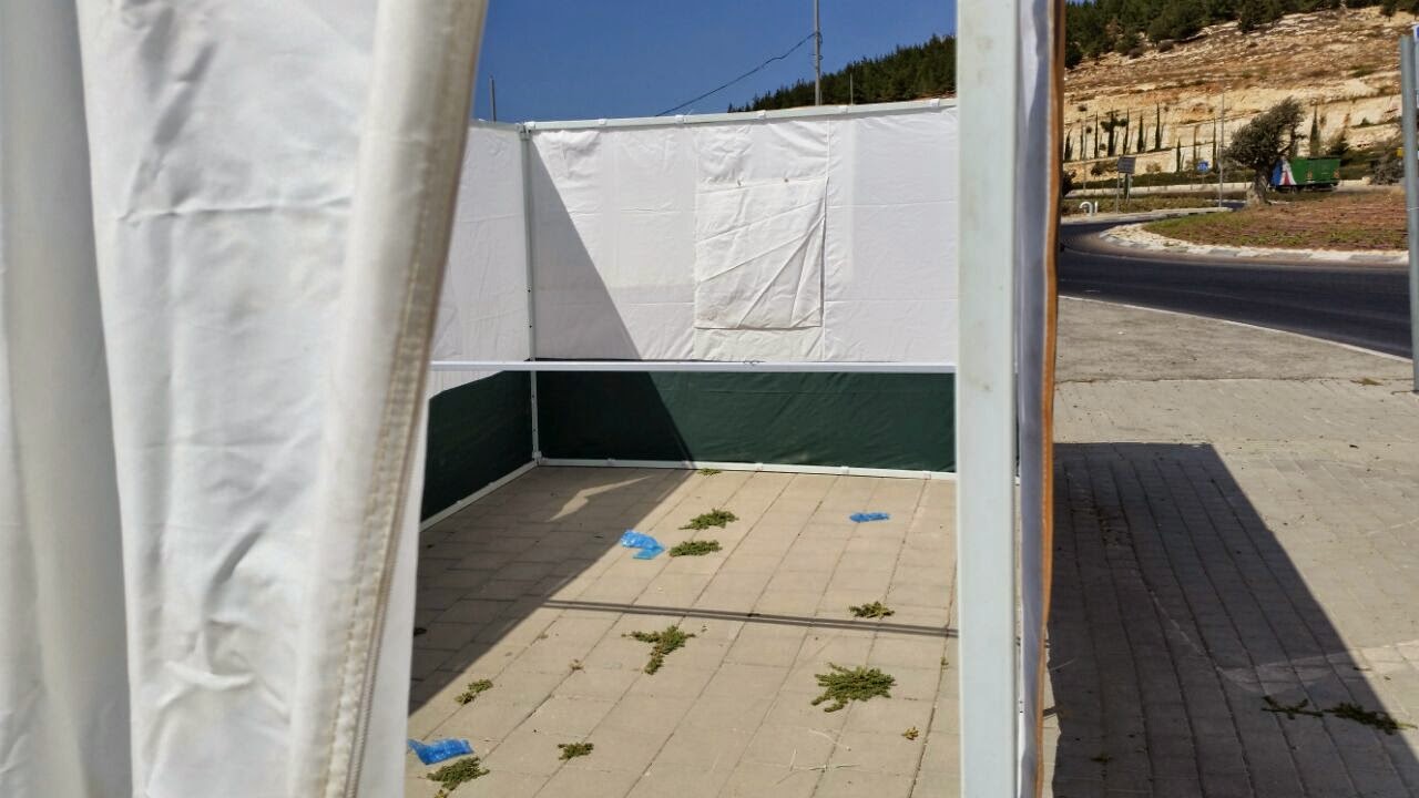IMG-20141003-WA0016