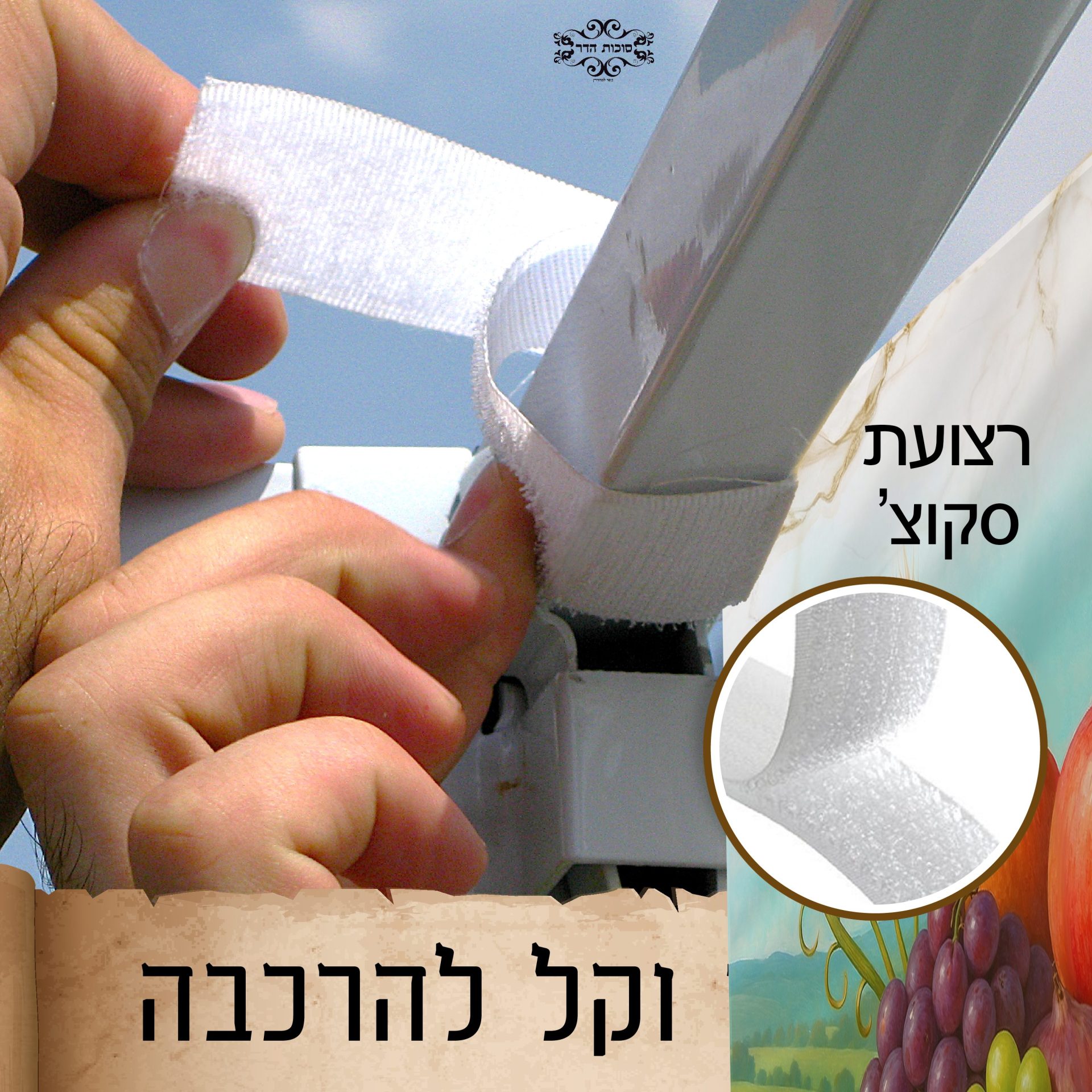 בד תמונה לסוכה 'שבעת המינים'