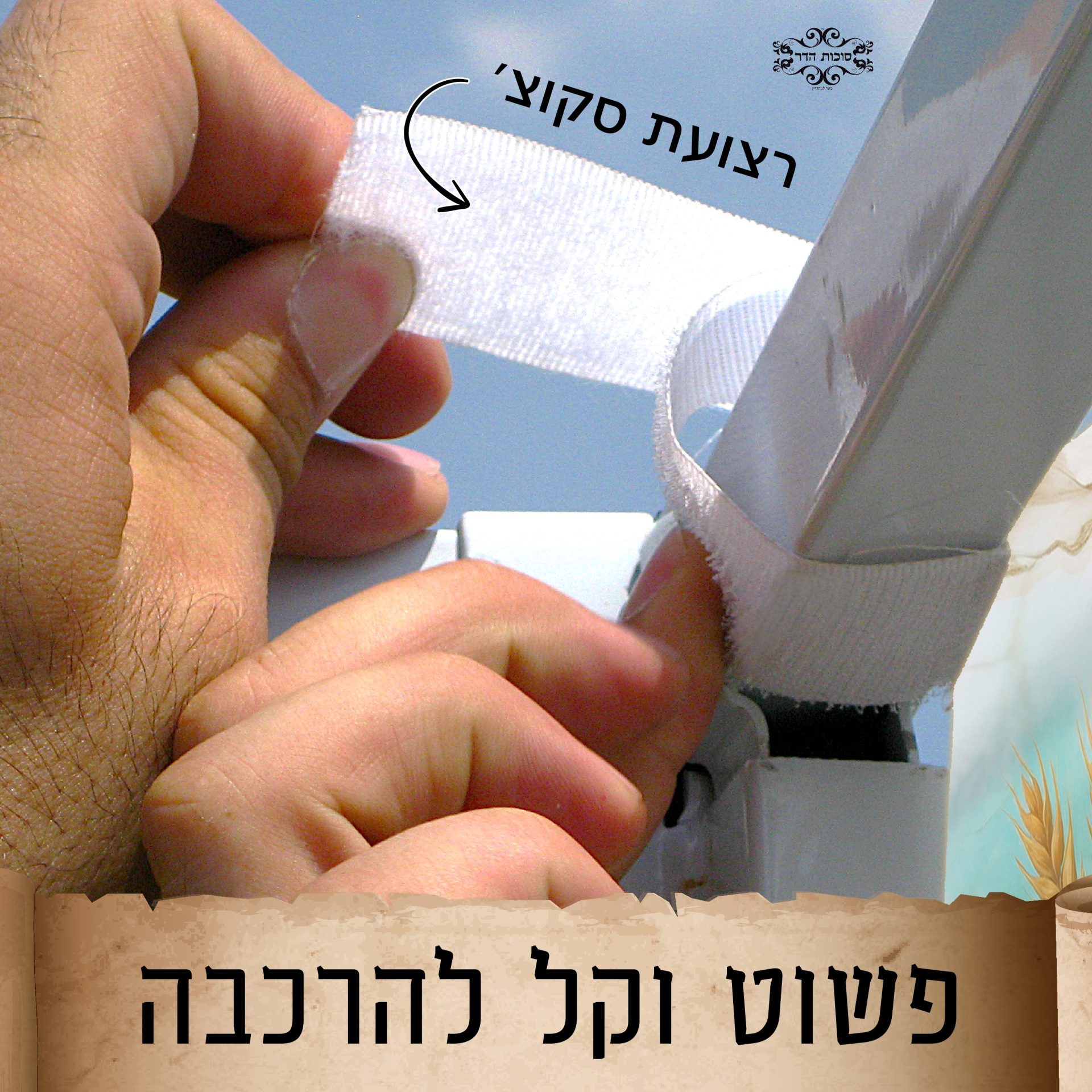 בד תמונה לסוכה 'שבעת המינים'