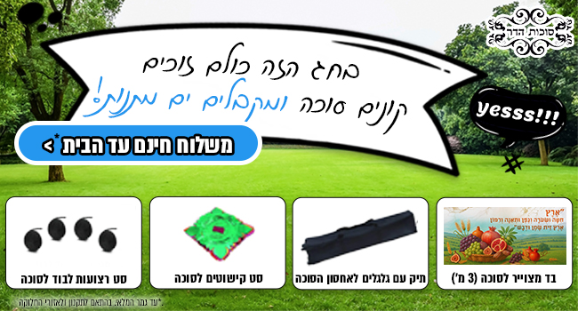 איך לקנות סוכה מבלי לקרוע את הכיס? המדריך המלא