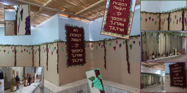 דבורי