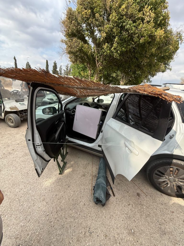 משה חדד ברזילי